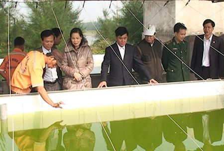 Triển vọng mới trong ph&aacute;t triển kinh tế biển ở Th&aacute;i Thụy